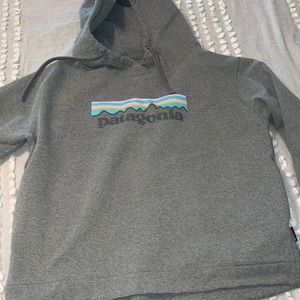 Patagonia sweatshirt